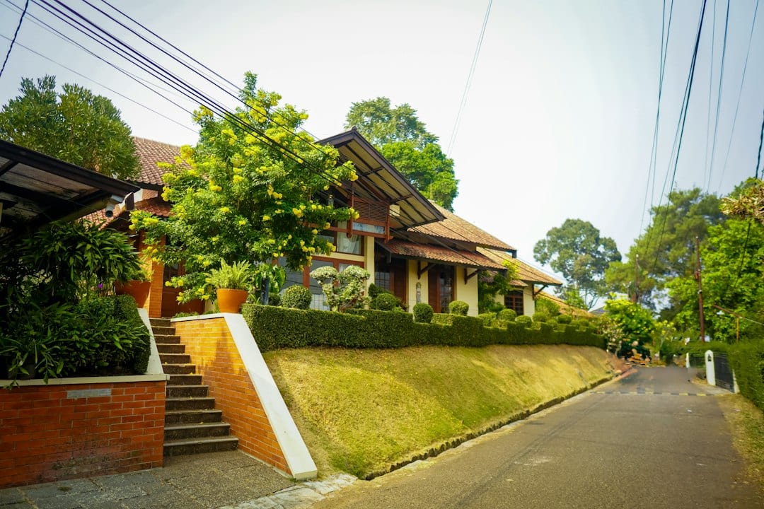 Bukit Timah landed homes streetscape with mature trees
