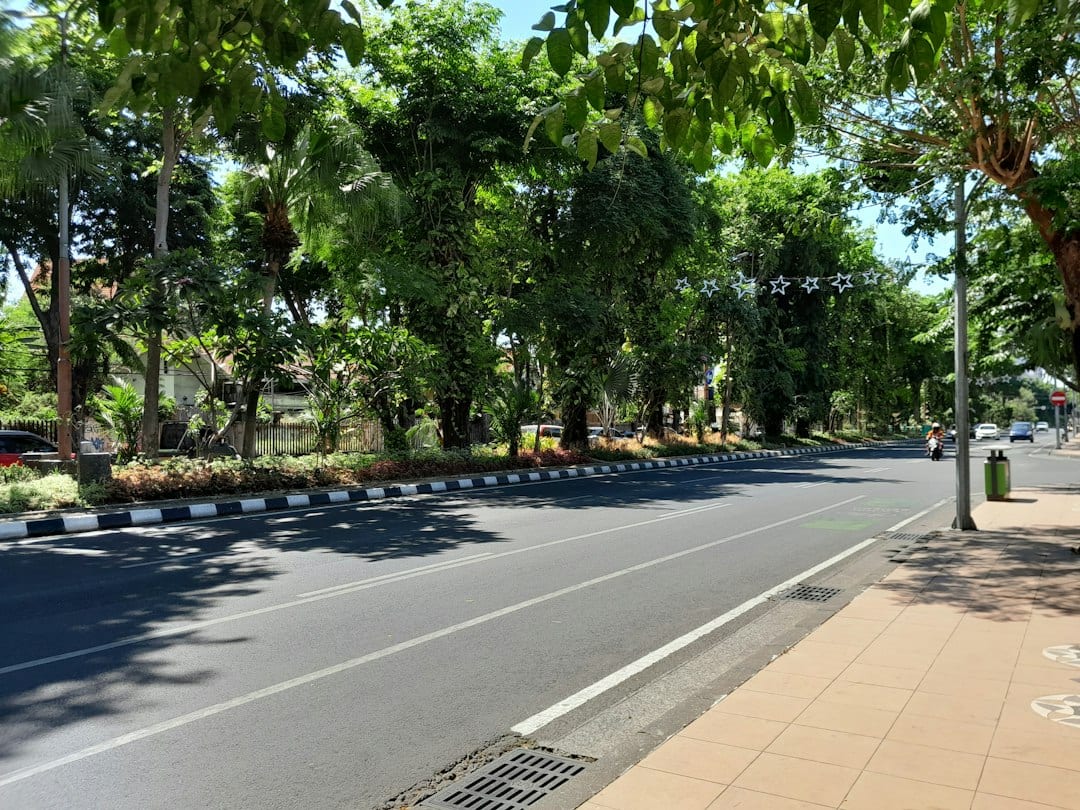Tree-lined residential street in Bukit Timah