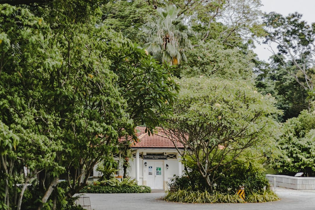 Spacious Singapore bungalow estate surrounded by mature greenery