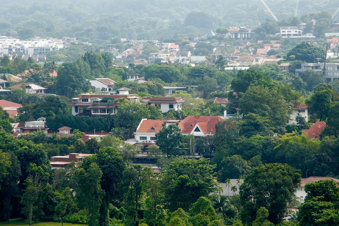 Tree-lined residential neighbourhood representing the Lantana enclave