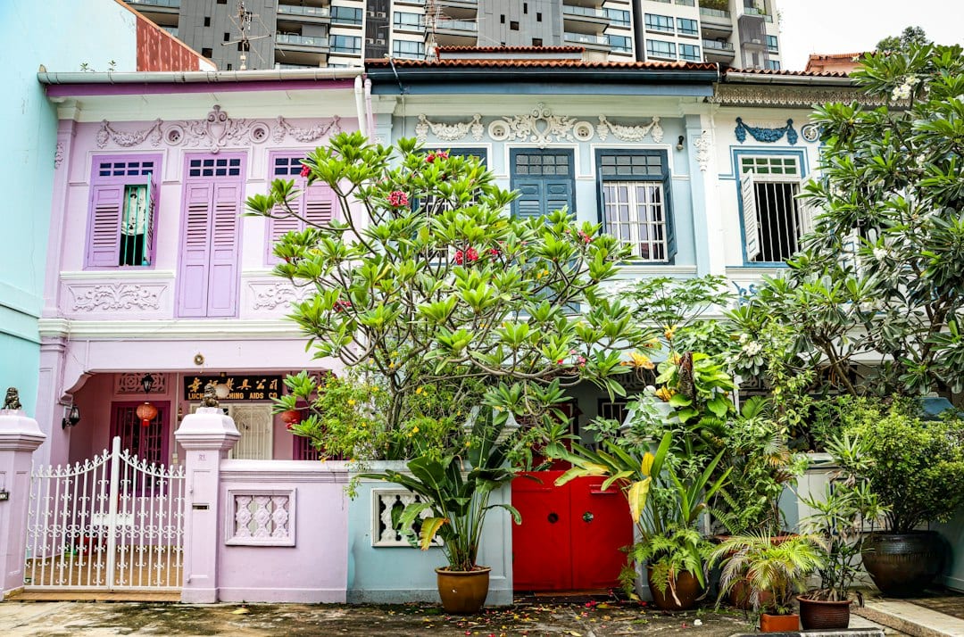 Terrace landed house row in Singapore