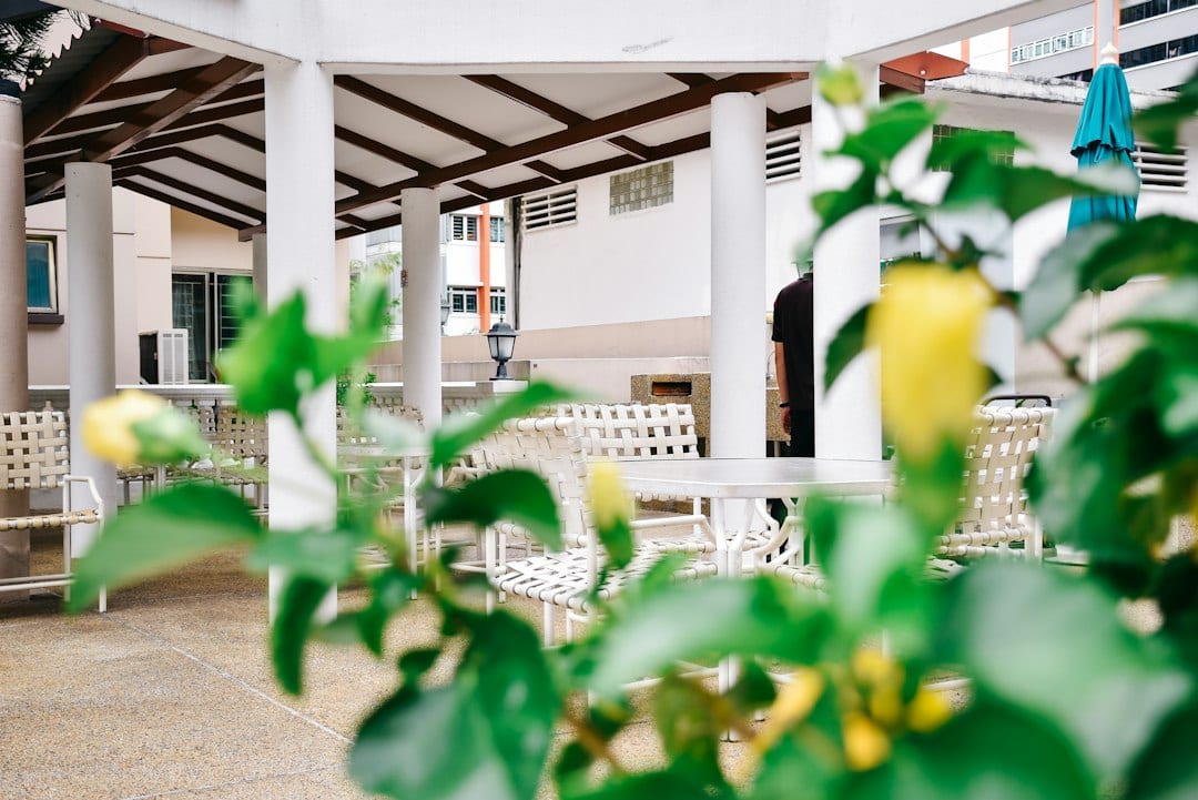 Tropical courtyard garden of a Singapore landed home